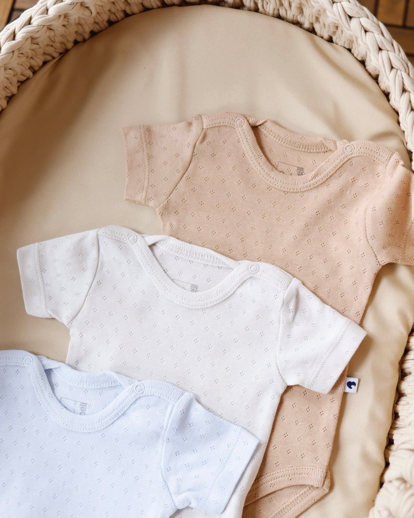 طقم تبان بيبي ٣ قطع ٠-٩ أشهر