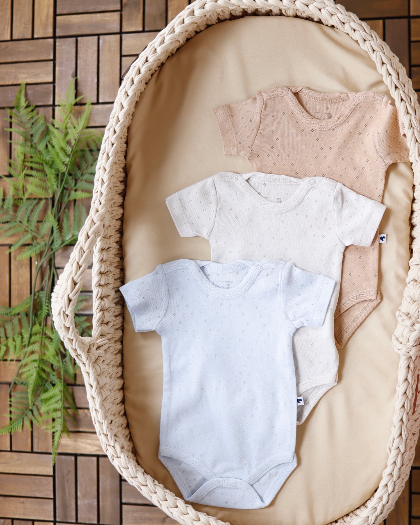 طقم تبان بيبي ٣ قطع ٠-٩ أشهر