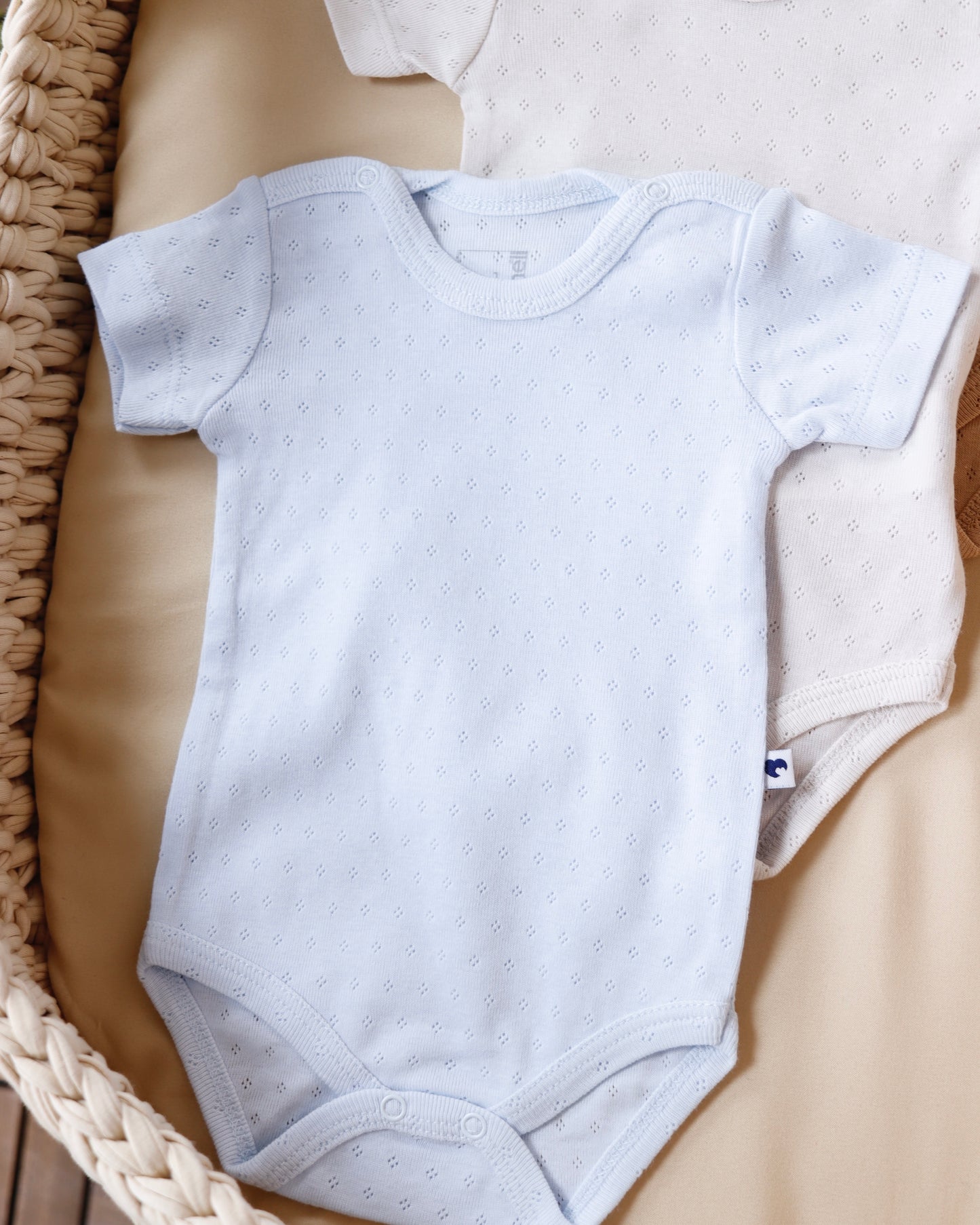 طقم تبان بيبي ٣ قطع ٠-٩ أشهر