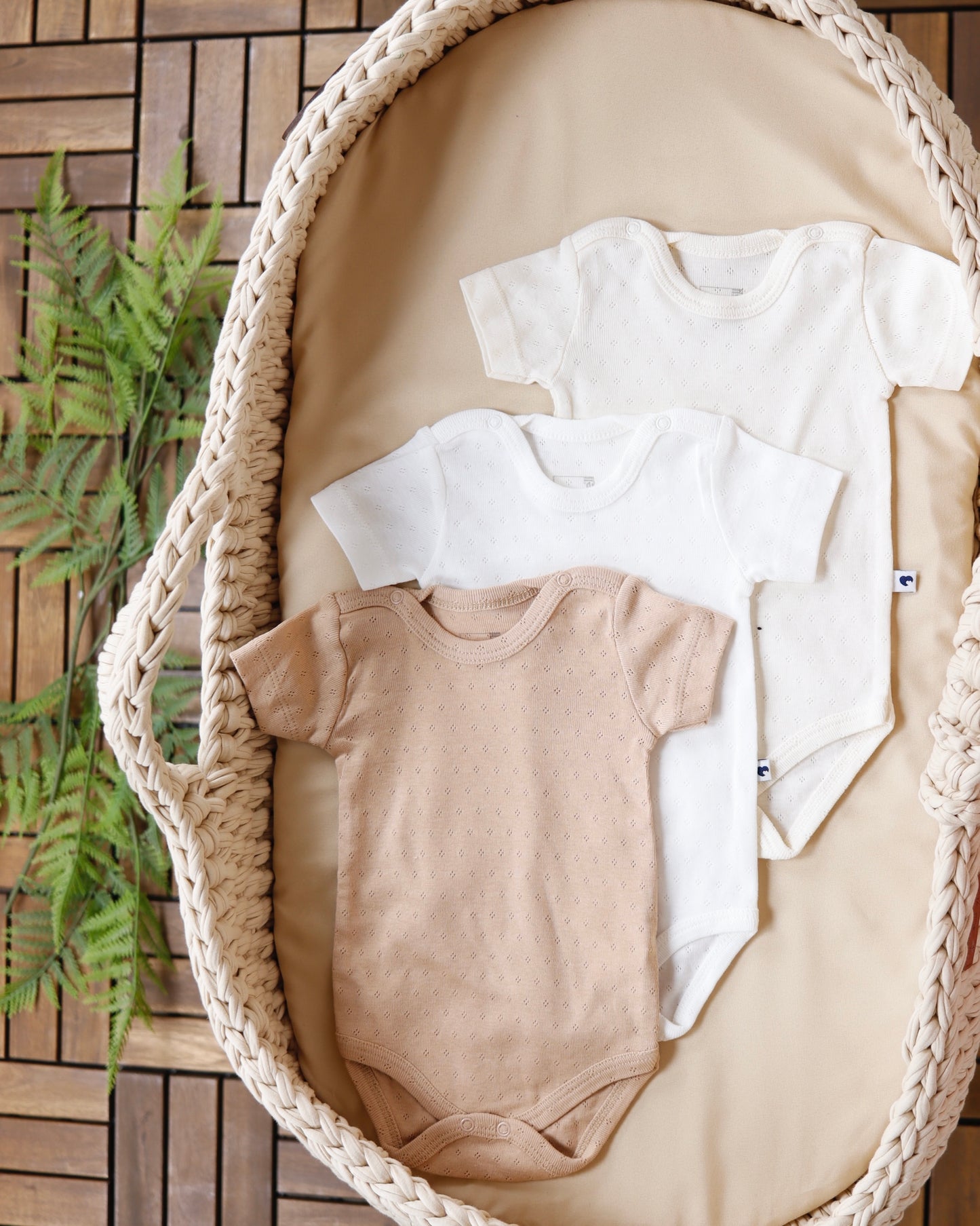 طقم تبان بيبي ٣ قطع ٠-٩ أشهر