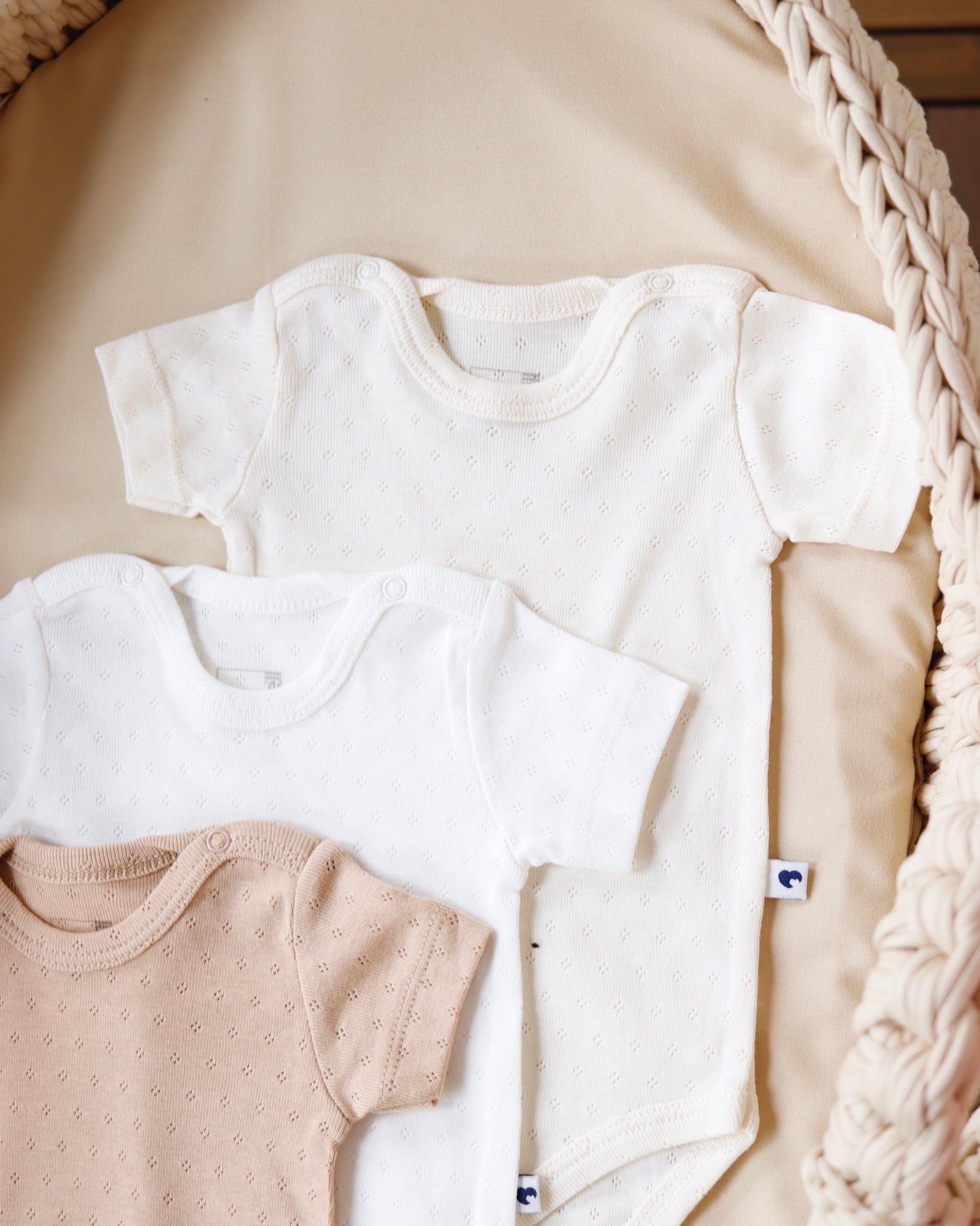 طقم تبان بيبي ٣ قطع ٠-٩ أشهر