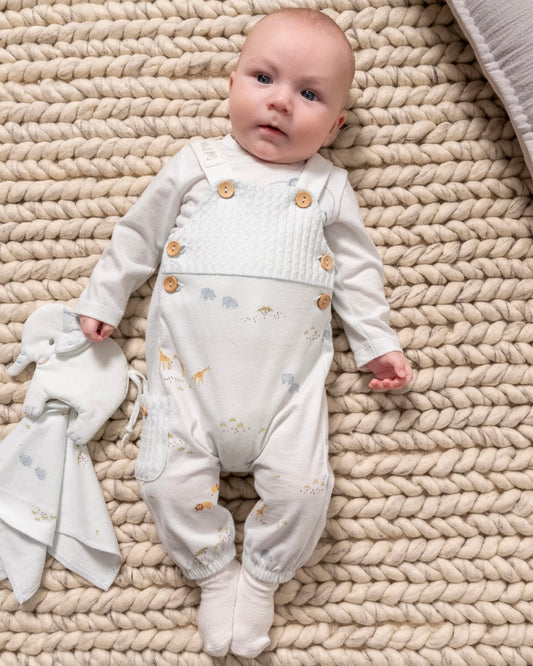 طقم افرهول صيفي قطن ١٠٠٪‏ ١-١٢ شهر🦒🦁